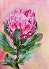 PINK DUKE PROTEA