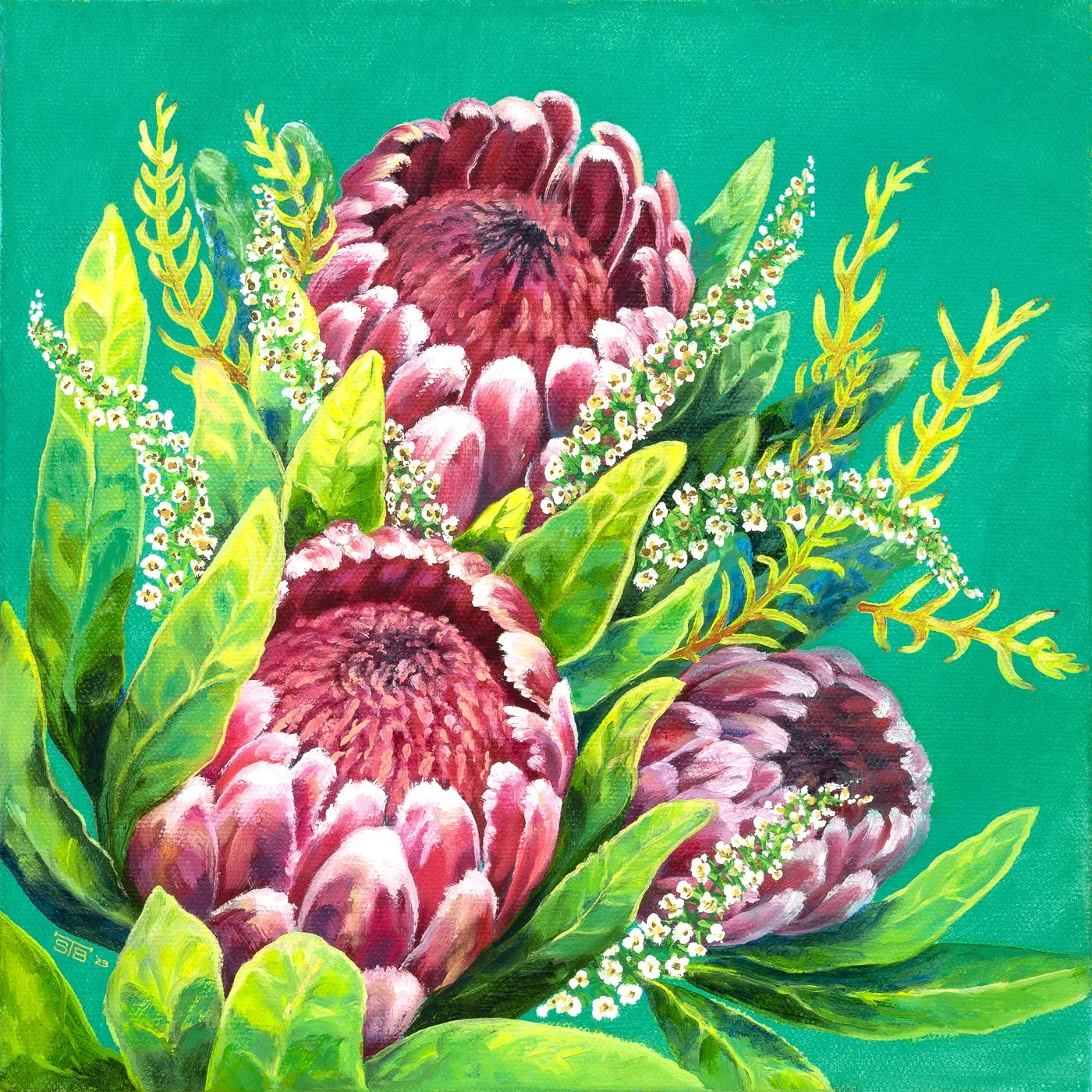 Maldive-Turquoise-Proteas (Edit)