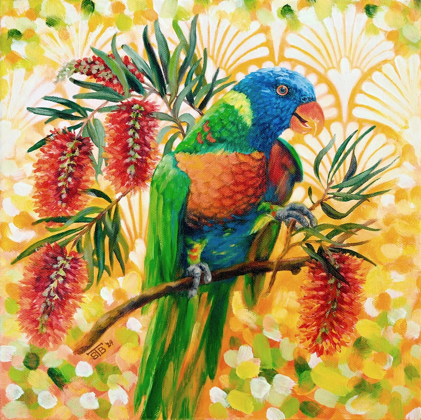 Lorikeet_LR New