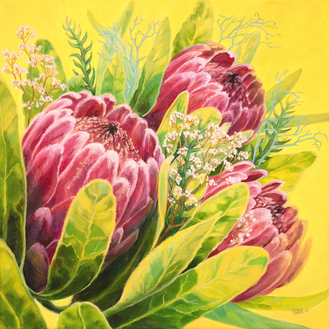 Royal-Emblem-Proteas