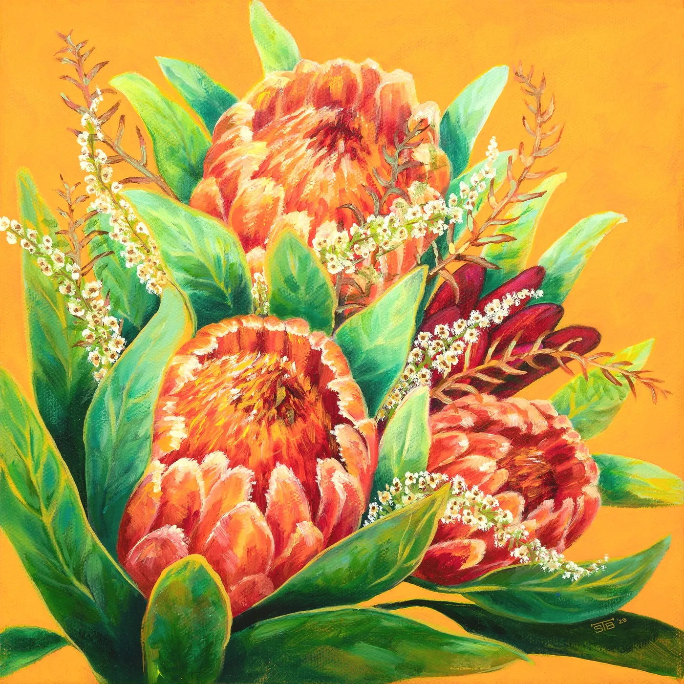 Sweet-Tangerine-Proteas (Edit)