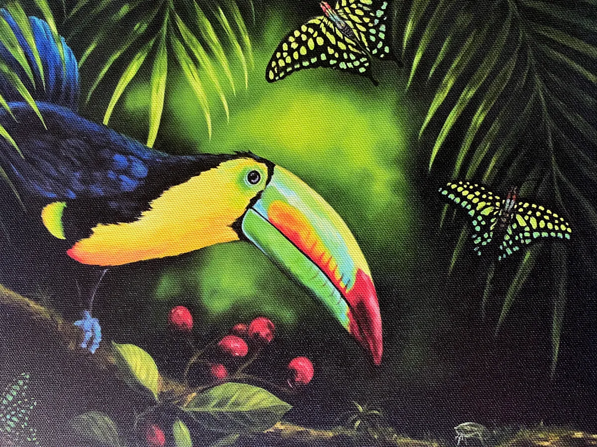 Toucan-L-A