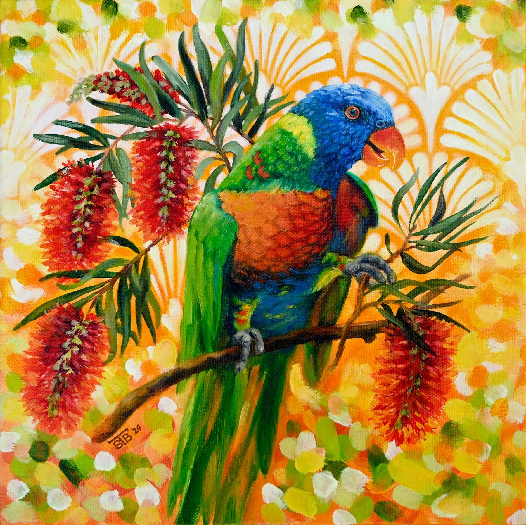 Lorikeet_LR