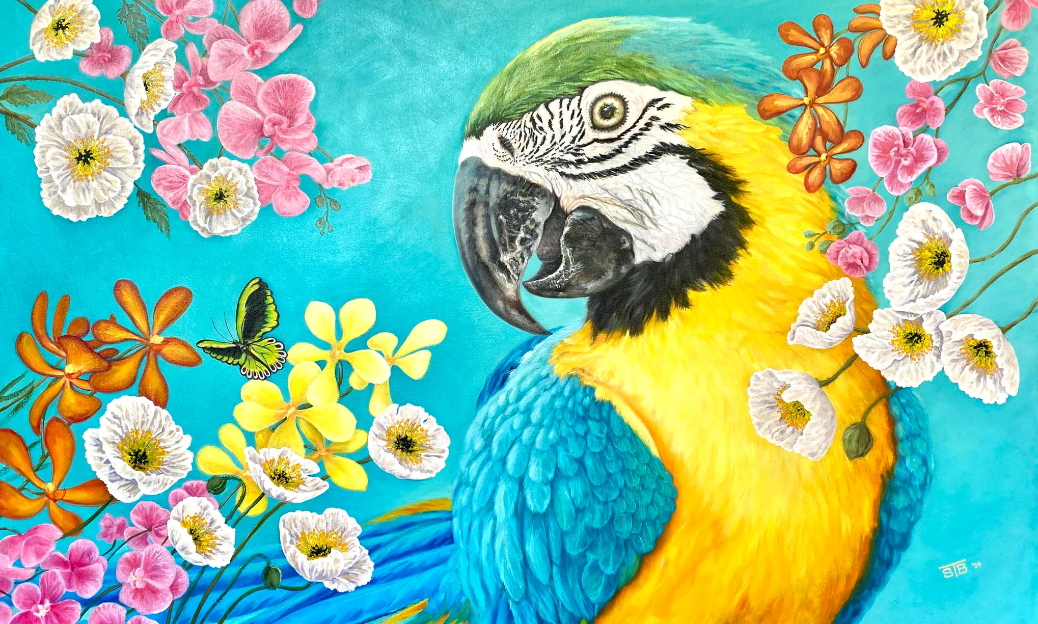 Macaw Painting-LR