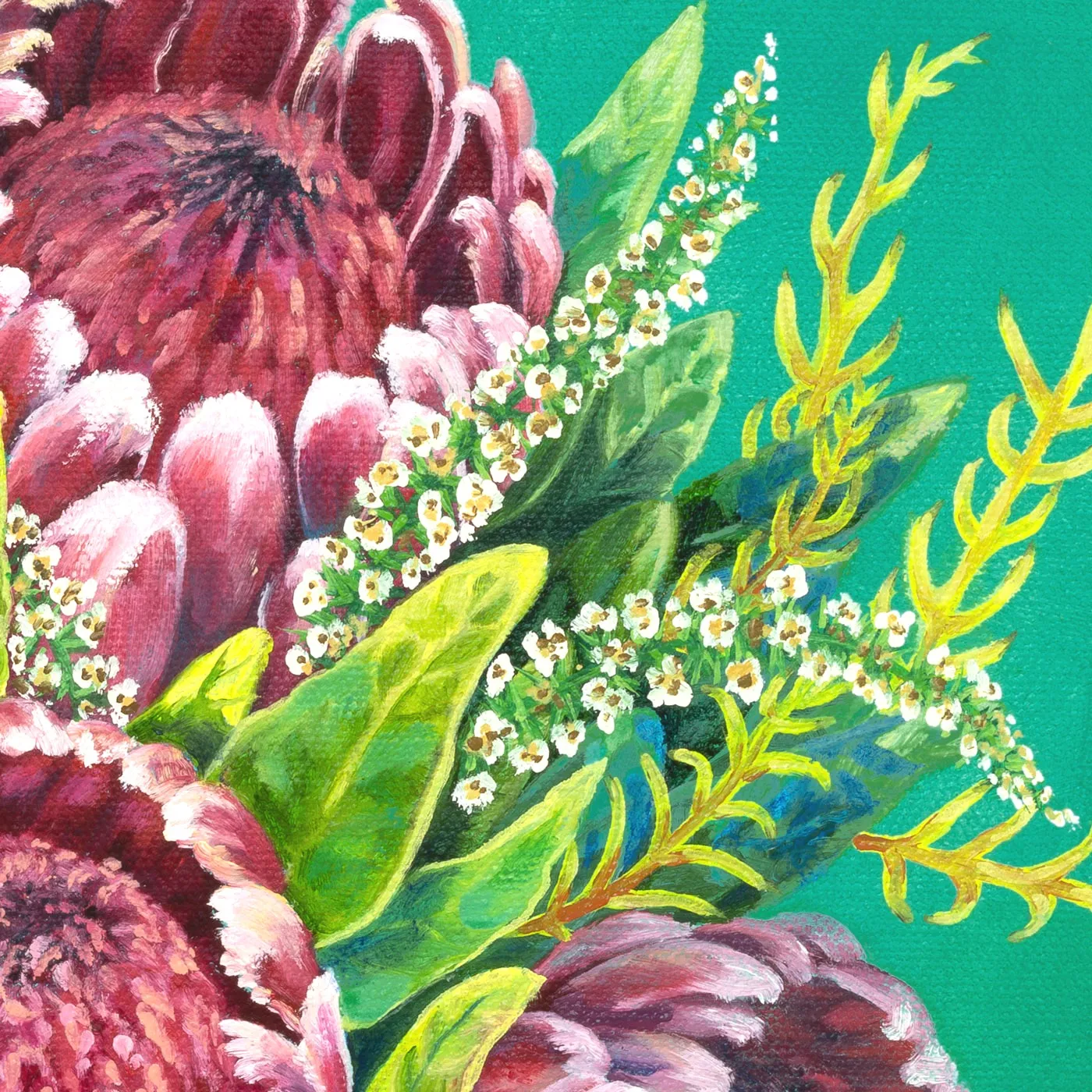 Maldive-Turquoise-Proteas-A